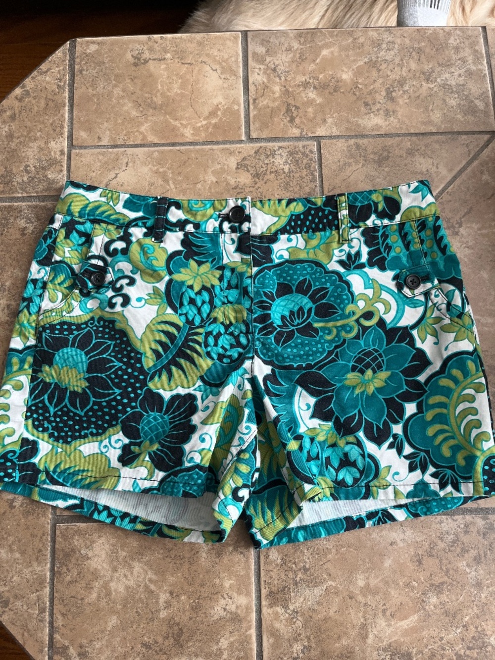 Ann Taylor Paisley shorts